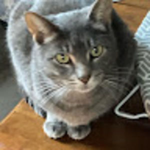 Meet your Posher, Sofia